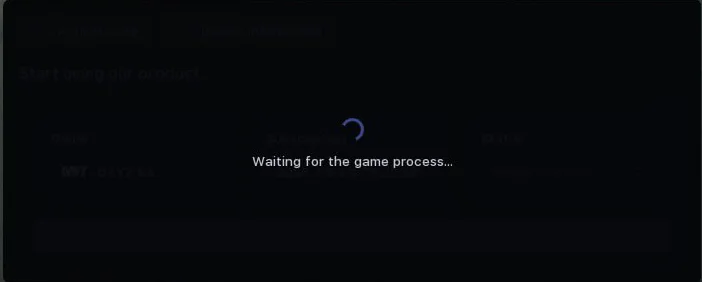 Waiting for game launch